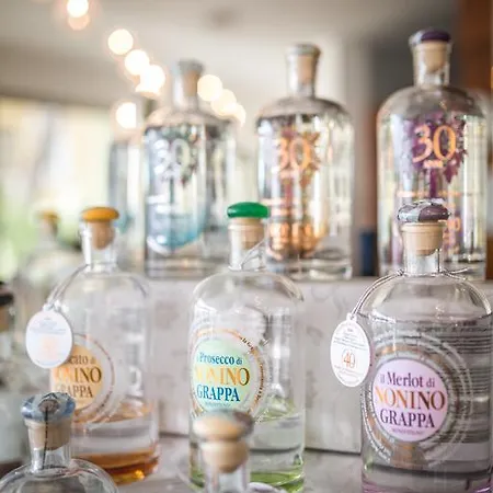 호텔 Bellavista 리그나노 사비아도로